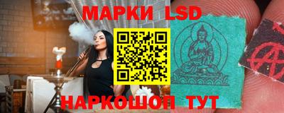 гидропоника Сланцы
