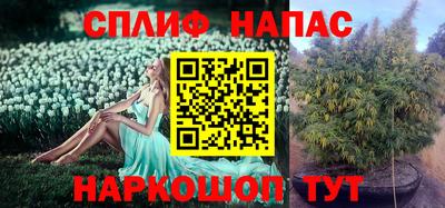 эйфоретик Славгород