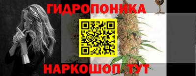 гидропоника Сланцы