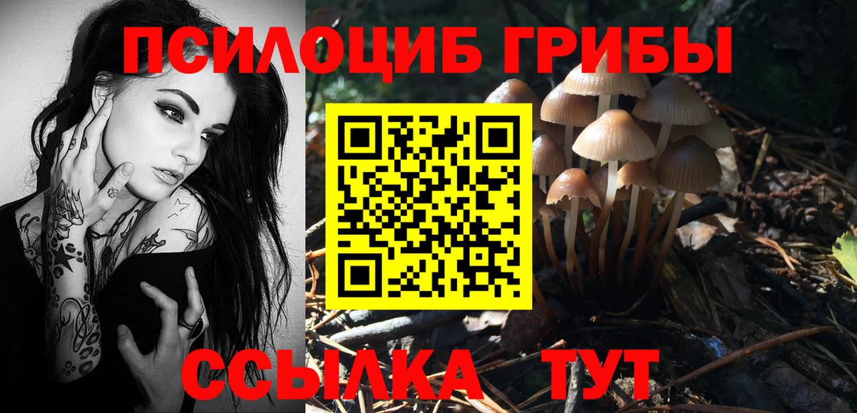 Галлюциногенные грибы MAGIC MUSHROOMS  Галлюциногенные грибы MAGIC MUSHROOMS  Вход с VPN  Оренбург 